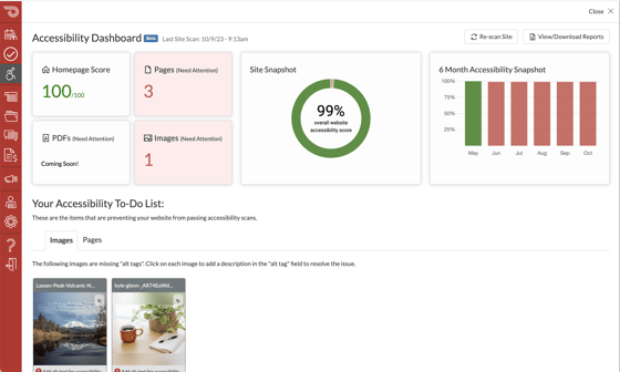 Screenshot of the Accessibility Dashboard